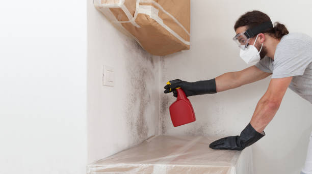 Professional Crawl Space Mold Remediation technician working in Ashland, OR