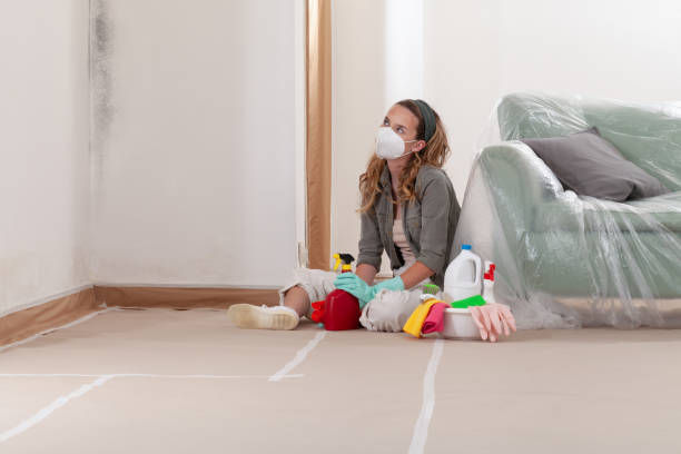 Reliable Crawl Space Mold Remediation contractor in Ashland, OR by 24 Hour Mold Removal